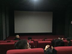 -华美国际影城(旧宫永辉店)