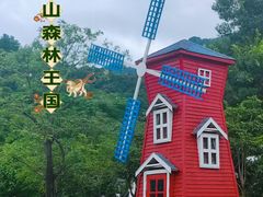 -南丹山森林王国