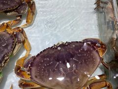 -万龙洲海鲜(大兴绿地缤纷城店)