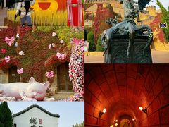 -青岛方特梦幻王国