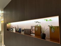 -汤泉良子·沐足·颂钵疗愈·SPA(珠江新城店)