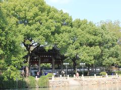 -汇龙潭