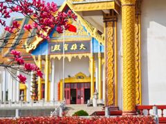 -报恩禅寺