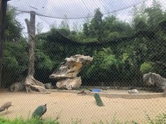 -南昌动物园
