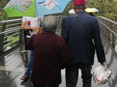 -重庆西南医院(西南院区)