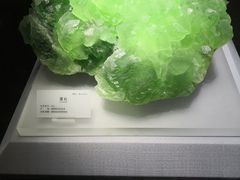 -湖南省地质博物馆