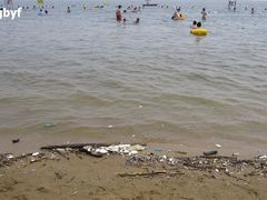 -碧海金沙