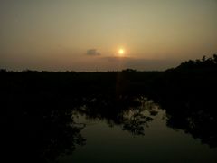 android_upload_pic-北海金海湾红树林生态旅游区