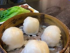招牌虾皇饺-添运来(茶园奥园广场店)