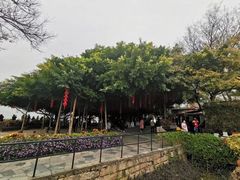 -胡里山炮台