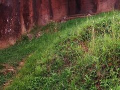 -杭州野生动物世界