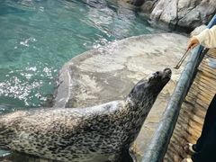 -福州罗源湾海洋世界旅游区