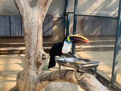 -大连森林动物园