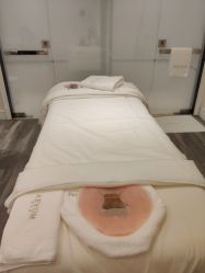 -奥斯芬欧系贵族SPA