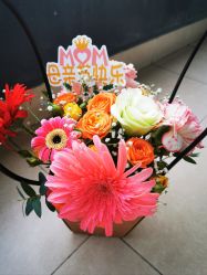 -敦南真爱月子会所(黄埔店)