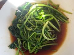 -滇铺子·云南特色菜·第九届野生菌美食节(东风东路c86店)