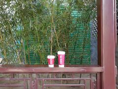 醇艺白-COSTA COFFEE(新奥购物中心店)
