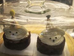 -星多哈·狗咖·拼豆·咖啡