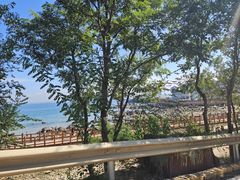 -养马岛旅游度假区