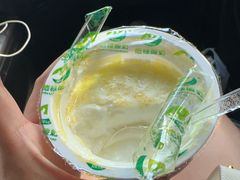 -德禄酸奶(莫家街店)