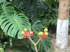 -广州神农草堂中医药博物馆