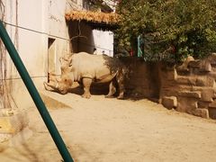 景点-成都动物园