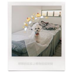 -处女座·MISS VIRGO·半永久纹眉野生眉