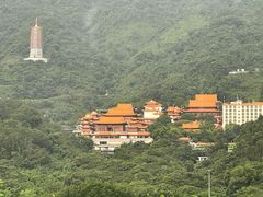 -深圳仙湖植物园