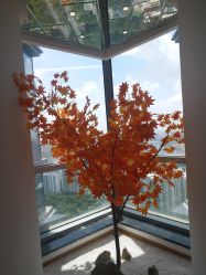 -松和日式美容整骨