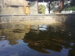 -徂徕山森林康养度假谷温泉
