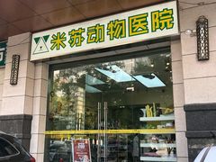 -米苏动物医院·犬猫专科·骨科外科内窥镜