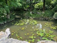 -广西壮族自治区药用植物园