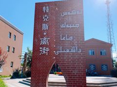 -特克斯八卦城