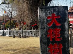 -大槐树寻根祭祖园