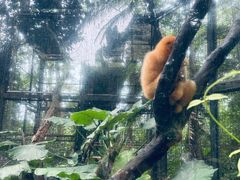 -海南热带野生动植物园