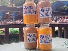 -西双版纳原始森林公园