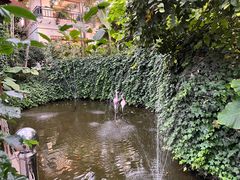 -忆江南·生态餐饮宴会酒店