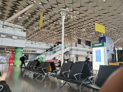 -郑州新郑国际机场-T2航站楼