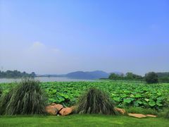 -东湖落雁景区