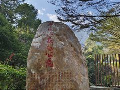 -银瓶嘴森林公园