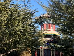 -龙口南山旅游景区