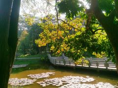 -东莞植物园
