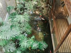 -聚缘堂·海鲜私房菜(松岭路店)