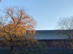 -灵谷景区
