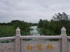 -泗洪洪泽湖湿地景区