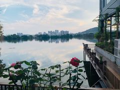 -东湖食堂·湖景餐厅•会议