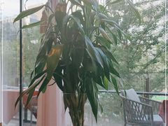 -赵小姐丨新中餐(曲江店)