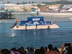 -秦皇岛乐岛海洋王国