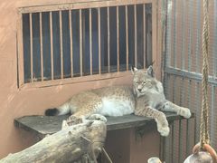 -青藏高原野生动物园