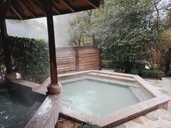 -天目湖涵田半山温泉